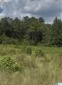 0 County Road 490 - Photo 2
