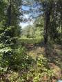 0 County Road 490 - Photo 3