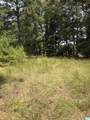 0 County Road 490 - Photo 4