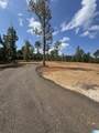 Lot14 Cam's Cov Old Highway 431 - Photo 5