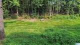 1556 Powder Plant Road - Photo 6