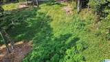 1556 Powder Plant Road - Photo 7