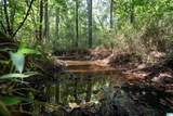 0 County Road 87 - Photo 1