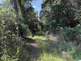  Slick Lizzard Road - Photo 5