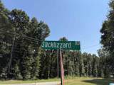  Slick Lizzard Road - Photo 6