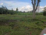 23938 Rosin Ridge Road - Photo 5