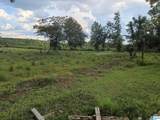 23938 Rosin Ridge Road - Photo 6