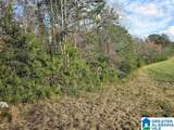 0 Highway 280 - Photo 3