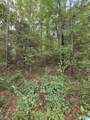 0 John Irwin Drive - Photo 6