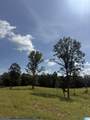 8.19 A Woodgate Shores Drive - Photo 16