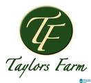 254 Taylors Farm Drive - Photo 1