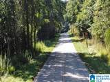 0 County Road 82 - Photo 11