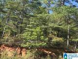 0 County Road 82 - Photo 13