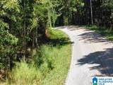 0 County Road 82 - Photo 7