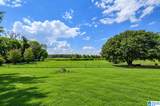 9685 Mitchell Road - Photo 41