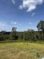 8.19 B Woodgate Shores Drive - Photo 14