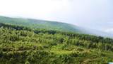 0 Nubbin Creek Road - Photo 1