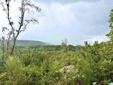 0 Nubbin Creek Road - Photo 3