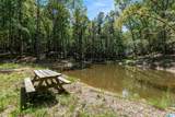 1385 County Road 467 - Photo 2