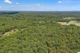 1385 County Road 467 - Photo 25