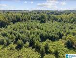 2257 Pinedale Road - Photo 8