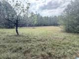 7 Stone Ridge Trail - Photo 4