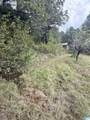 7 Stone Ridge Trail - Photo 5