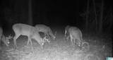 576 Highway 61 - Photo 38
