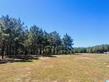 576 Highway 61 - Photo 40