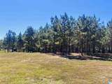 576 Highway 61 - Photo 41