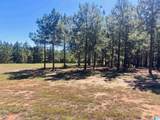 576 Highway 61 - Photo 43