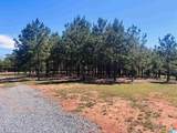 576 Highway 61 - Photo 46