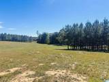 576 Highway 61 - Photo 48