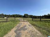 551 Burtram Circle - Photo 21