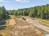 44 Buckeye Trail - Photo 45