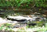 1002 Cheaha Road - Photo 3