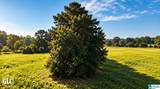 288 Seven Sweet Gums Road - Photo 13