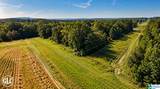 288 Seven Sweet Gums Road - Photo 5