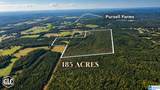 288 Seven Sweet Gums Road - Photo 6