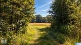 288 Seven Sweet Gums Road - Photo 9