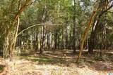 9171 Bill Jones Road - Photo 2
