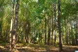 9171 Bill Jones Road - Photo 3