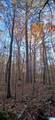 0 Blackjack Road - Photo 17