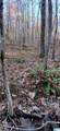 0 Blackjack Road - Photo 19