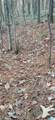 0 Blackjack Road - Photo 20