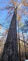 0 Blackjack Road - Photo 5