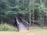 0 Daybreak Curve - Photo 8