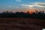 5651 County Road 97 - Photo 13