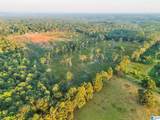 5651 County Road 97 - Photo 5