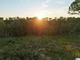 5651 County Road 97 - Photo 8
